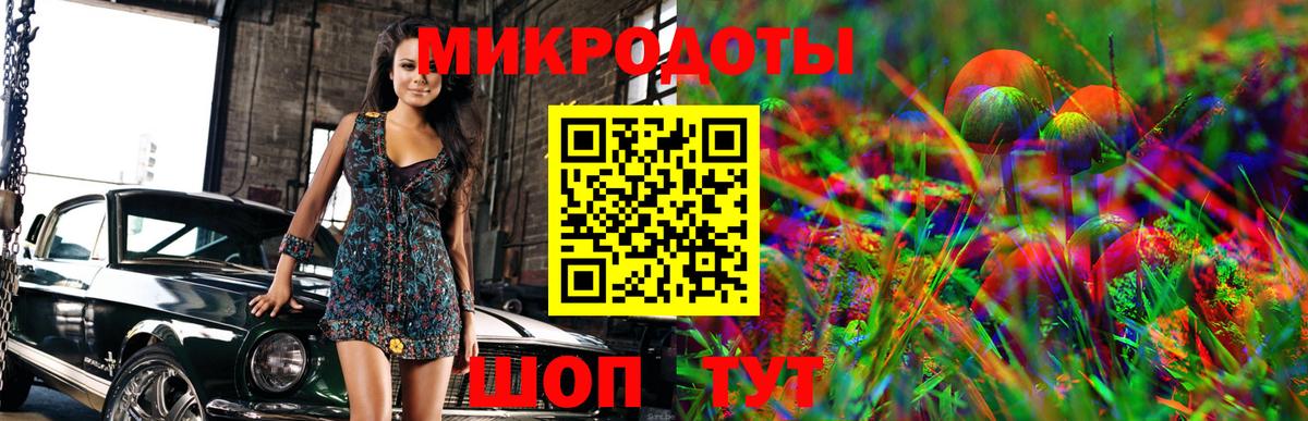 цена наркотик  Псилоцибиновые грибы MAGIC MUSHROOMS  Вход с VPN  Новодвинск 